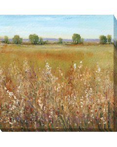 Abundance of Wildflowers I | Canvas