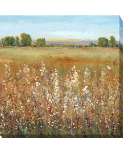 Abundance of Wildflowers II | Canvas