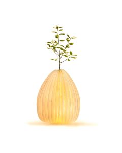 Gingko Smart Vase Light | Natural Walnut Wood