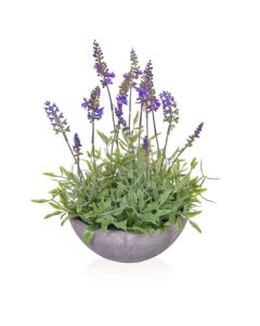 Lavender in Bowl